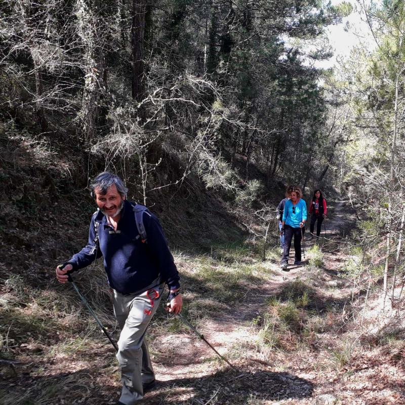 14.4.2019   Rocamora -  Natxo Oñatibia