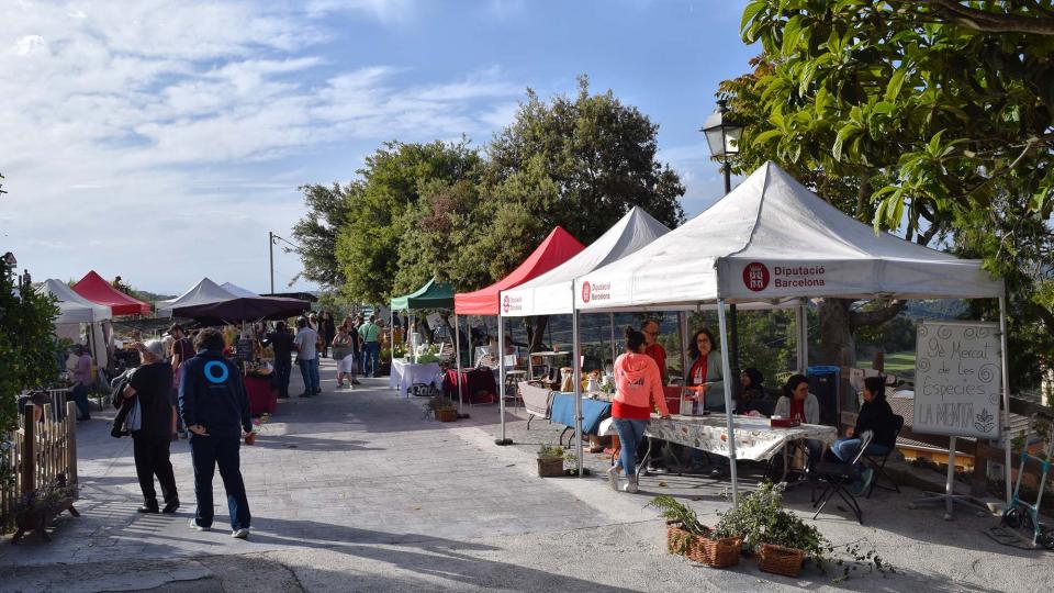 8 de Juny de 2019   Argençola -  Ajuntament Argençola