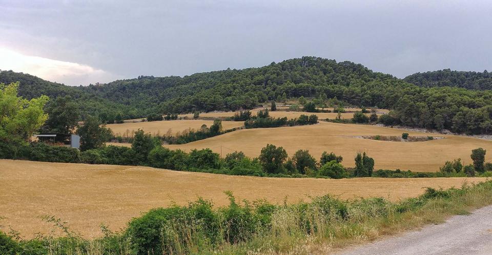 13.7.2019   Rocamora -  Martí Garrancho