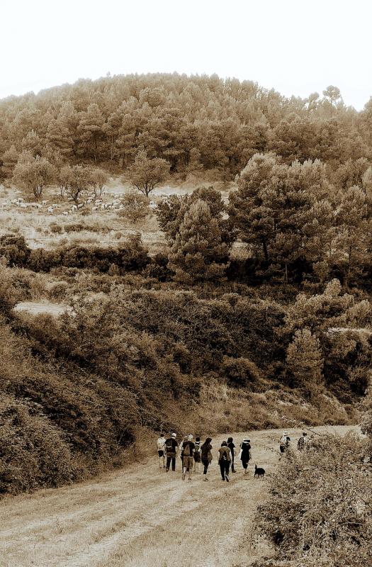 20.7.2019 Poc a poc i bona lletra  Argençola -  Martí Garrancho