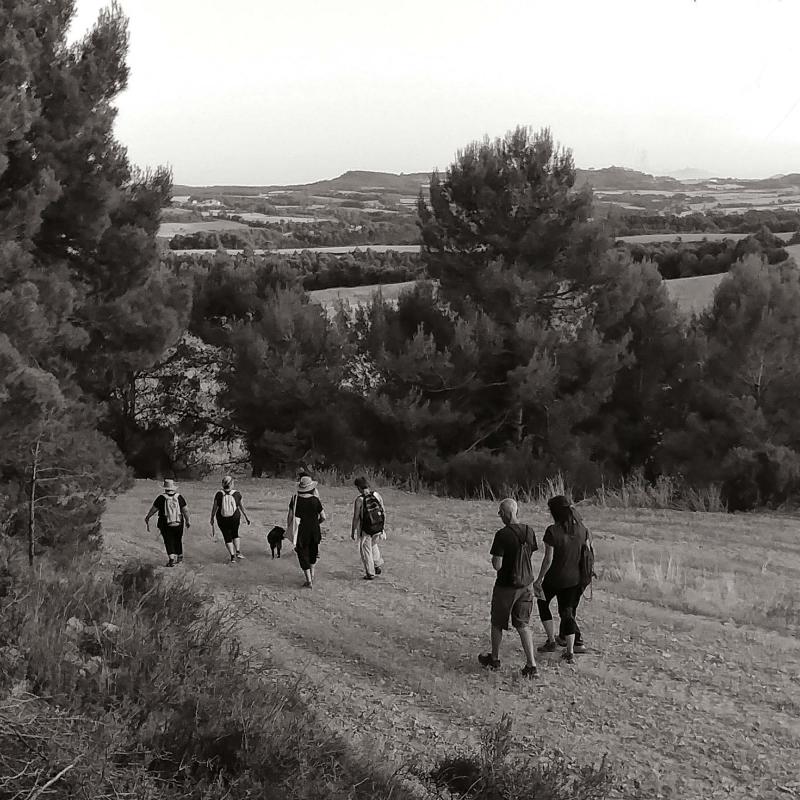 20.7.2019 Poc a poc i bona lletra  Argençola -  Martí Garrancho