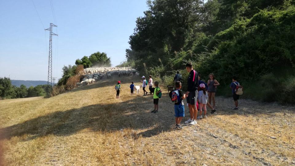 19.7.2019 Excursió al pou de gel  Argençola -  Animans