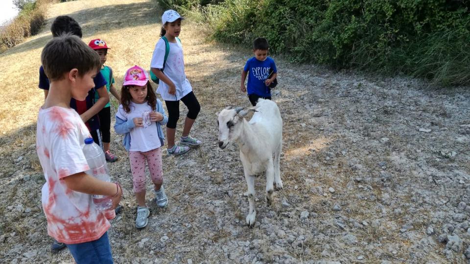 19.7.2019 Excursió al pou de gel  Argençola -  Animans