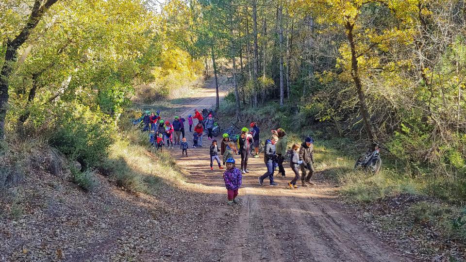 Arribant al bosc - Argençola