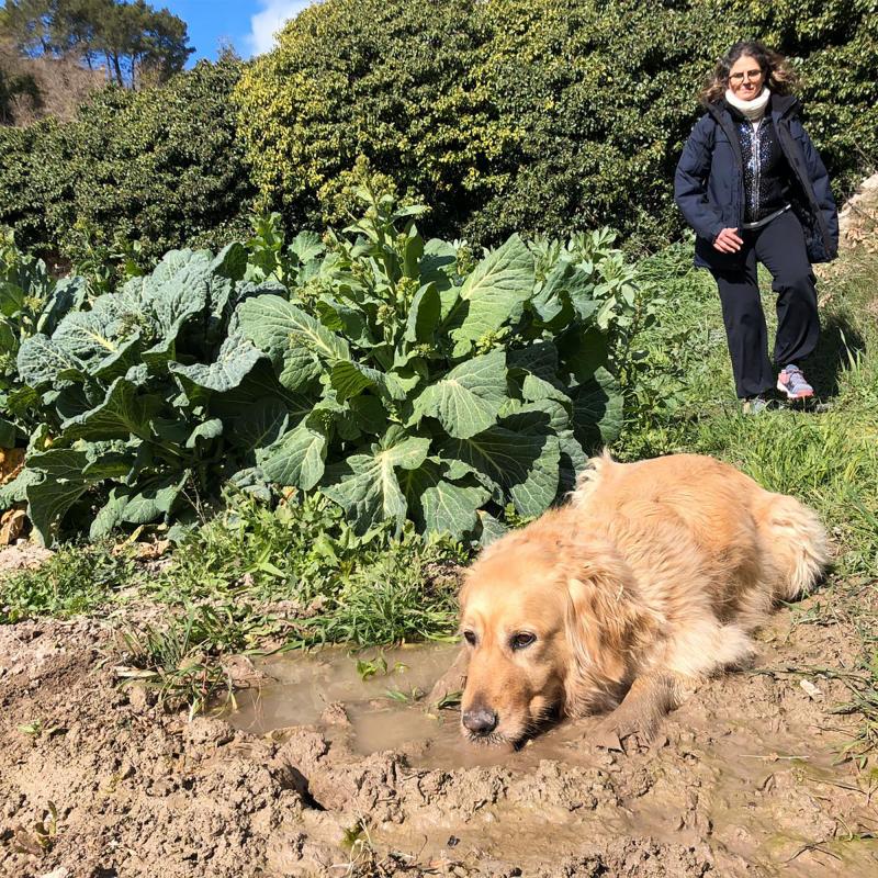 1.3.2020 Caminada  Argençola -  James McKinnell