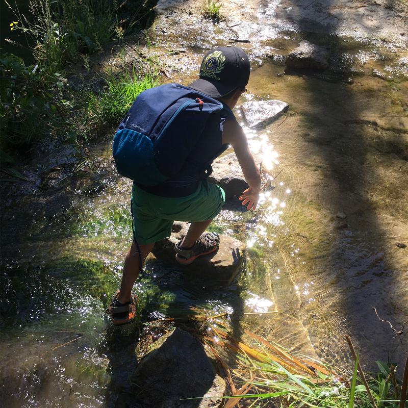 6.8.2020 Excursió al gorg  Argençola -  Animans