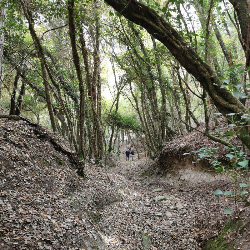 17.10.2021 Boscúria  Argençola -  Martí Garrancho