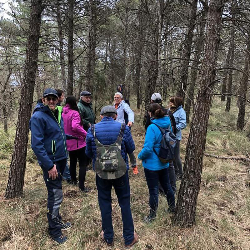 6.3.2022 Caminada Ruta Serra de Cantagalls  Argençola -  El Trill