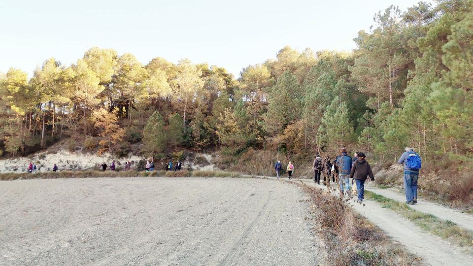 20.11.2022 Estripar la terra amb Pol Dunyó i Ton Lloret  Argençola -  Martí Garrancho