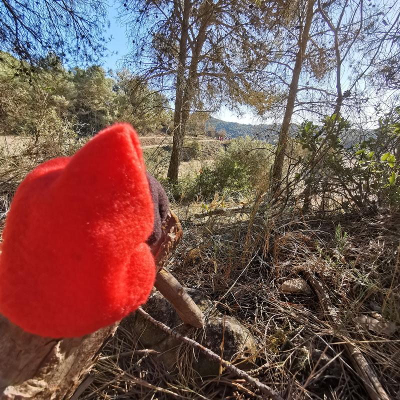 20.11.2022 Estripar la terra amb Pol Dunyó i Ton Lloret  Argençola -  Martí Garrancho