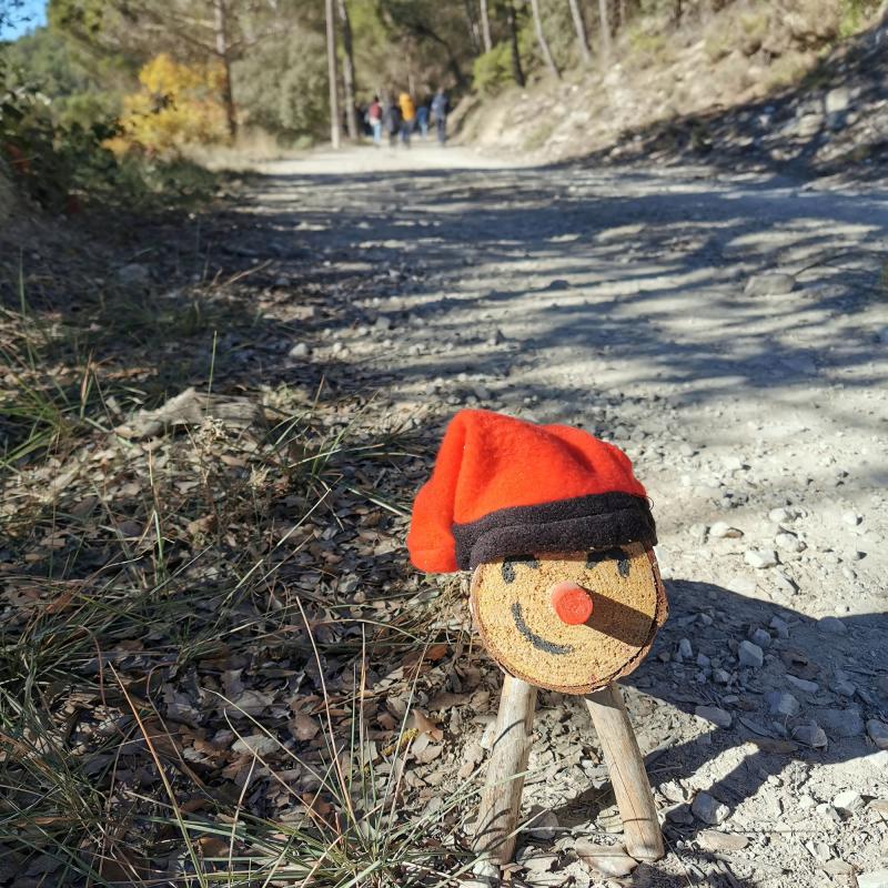 20.11.2022 Estripar la terra amb Pol Dunyó i Ton Lloret  Argençola -  Martí Garrancho