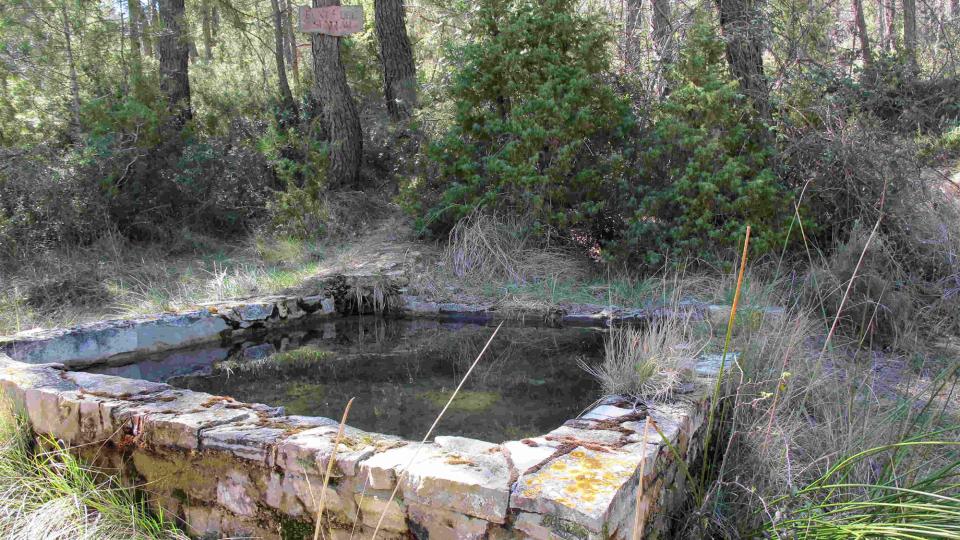 Fontaine del Senglars - Auteur Dibacat (2023)