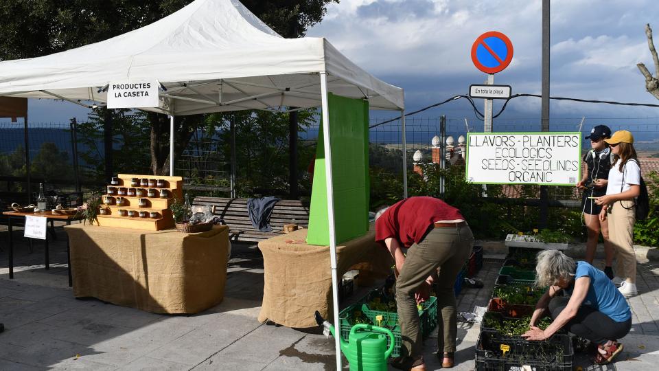 Mercat de les Espècies