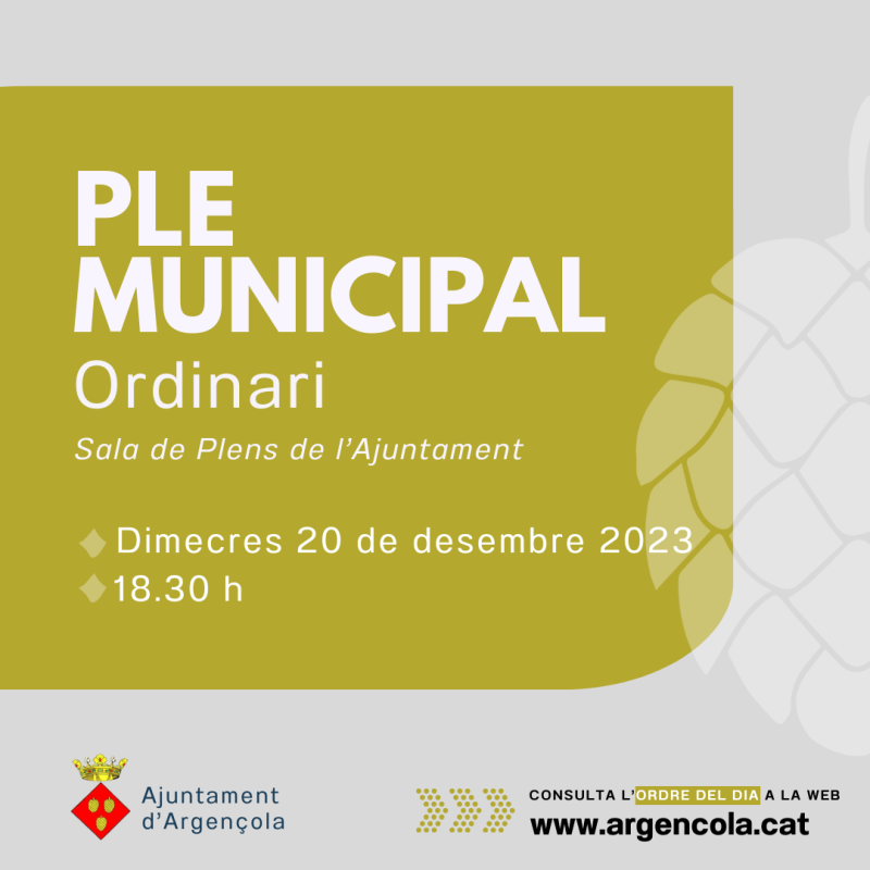 Convocatòria Ple Ordinari 20 desembre