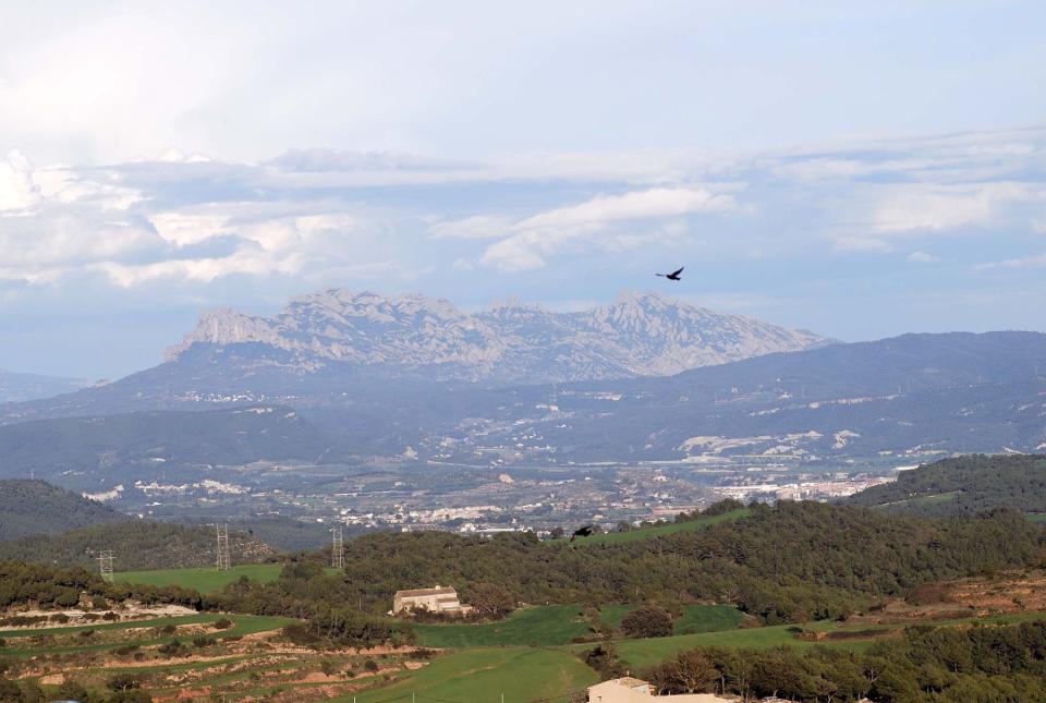 Atenció individualitzada a propietaris de finques i projectes agraris a Argençola 
