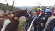 Argençola: Visita als cavalls de cal Sebastià  Jaume Teixé