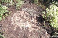 Els Plans de Ferran: Petroglif l'arbre de la vida  festacatalunya,cat