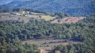 Argençola: paisatge de tardor  Ramon  Sunyer