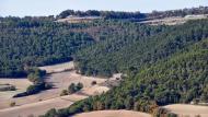 Rocamora: paisatge de tardor  Ramon  Sunyer