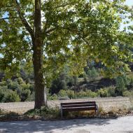 Porquerisses: Plataners del camí ignasià  Ramon Sunyet