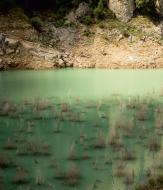 Argençola: Exposició Saurins: la percepció del subsòl  Ajuntament d'Argençola