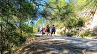 Argençola: Iniciació a la marxa nòrdica  Martí Garrancho