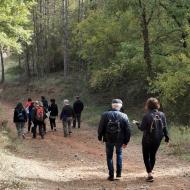 Argençola: Boscúria  Martí Garrancho