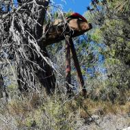 Clariana: 3r Casalet de Nadal  Martí Garrancho