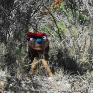 Clariana: 3r Casalet de Nadal  Martí Garrancho