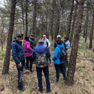 Argençola: Caminada Ruta Serra de Cantagalls  El Trill