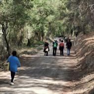 Argençola: Trítptic de la terra de Mercè Ibarz  Martí Garrancho