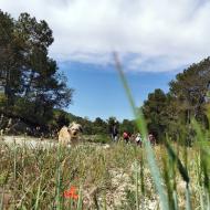 Argençola: Trítptic de la terra de Mercè Ibarz  Martí Garrancho