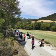 Argençola: Trítptic de la terra de Mercè Ibarz  Martí Garrancho