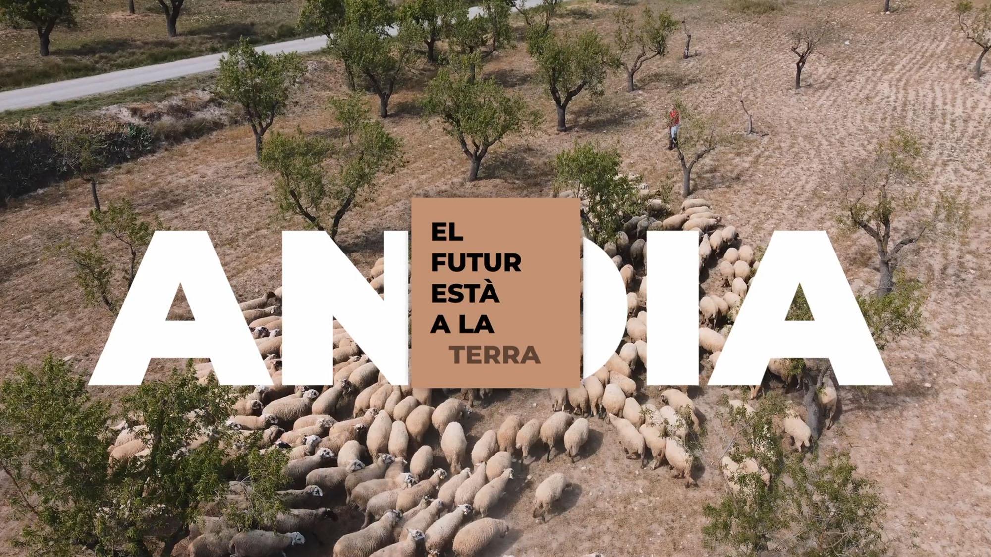 Vídeo 'A l’Anoia, el futur està a la terra'