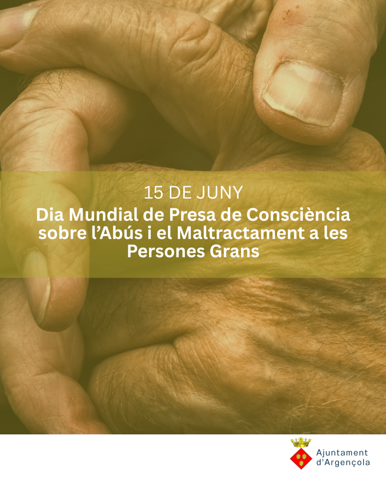 Argençola referma el seu compromís amb els drets de les persones grans