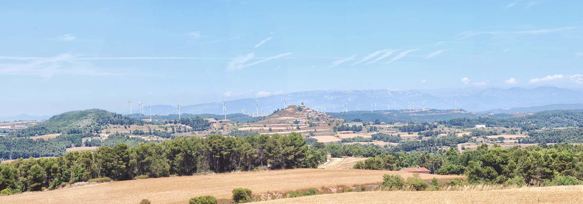 Arranjament i manteniment de camins del Pla de Prevenció d’Incendis Forestals (PPI) a Argençola