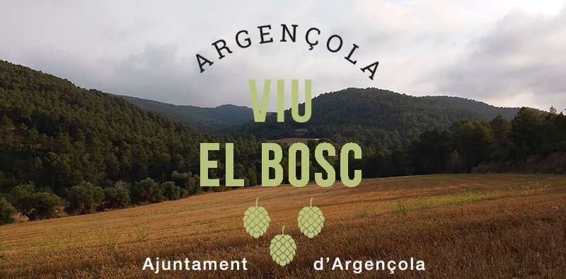 38 foto 41086 view.html Ajuntament d'Argençola